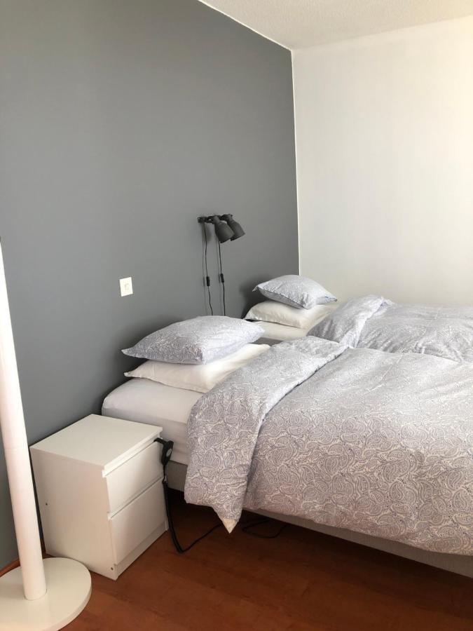 Two Bedroom Apartment Best View To The Sea Glassed Balcony Free Private Parking Kemi Exterior photo